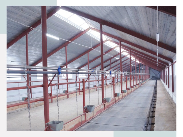 Строительство коровников в Тольятти от 621 руб.