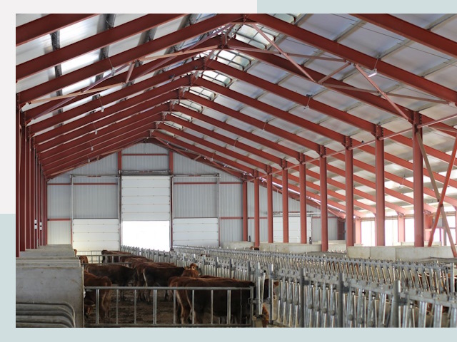 Строительство коровников в Тольятти