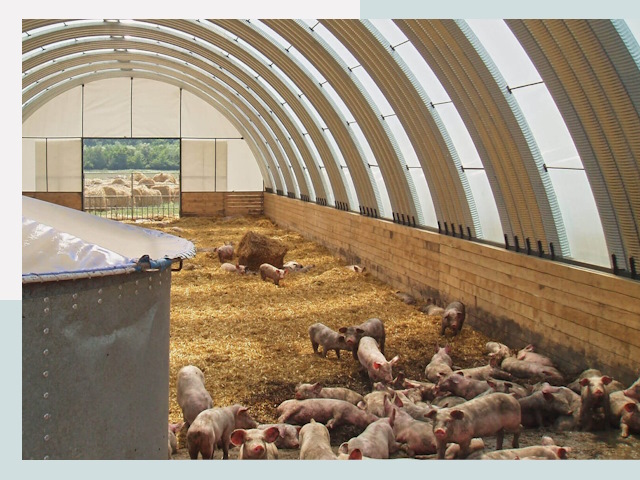 Строительство свинарников в Тольятти