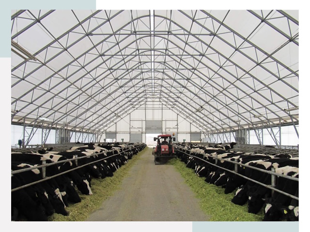 Тентовые коровники в Тольятти от 621 руб. - Надежно и доступно