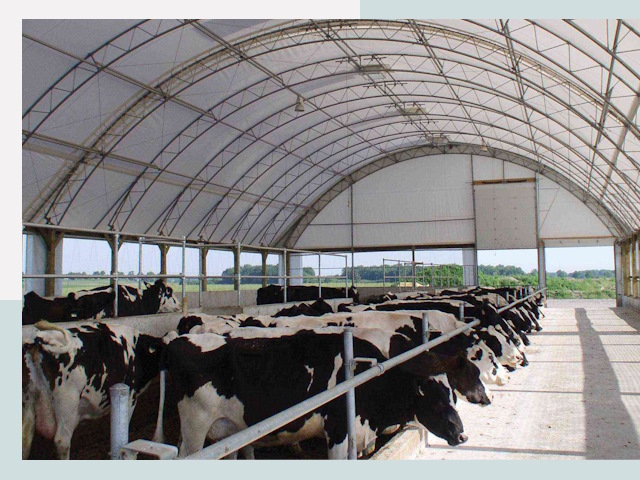 Тентовые коровники в Тольятти